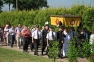 Boże Ciało 2014_16