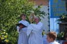 Boże Ciało 2014_98