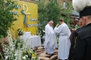 Boże Ciało 2015_38