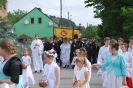 Boże Ciało 2015_65