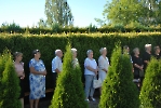 Święto Maryjne 2026_5