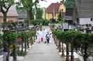 Święto Maryjne 2014_7