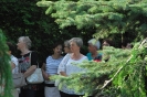 Święto Maryjne 2018_48