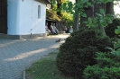 Święto Maryjne 2021_115